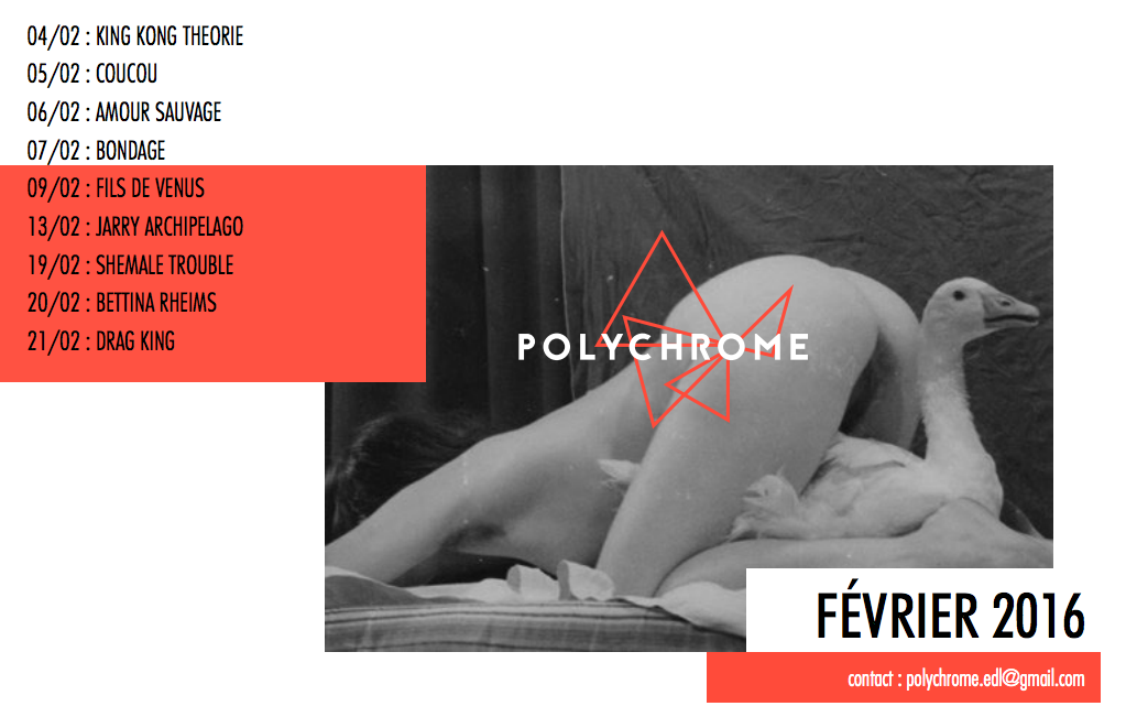 Newsletter Février 2016 - screenshot