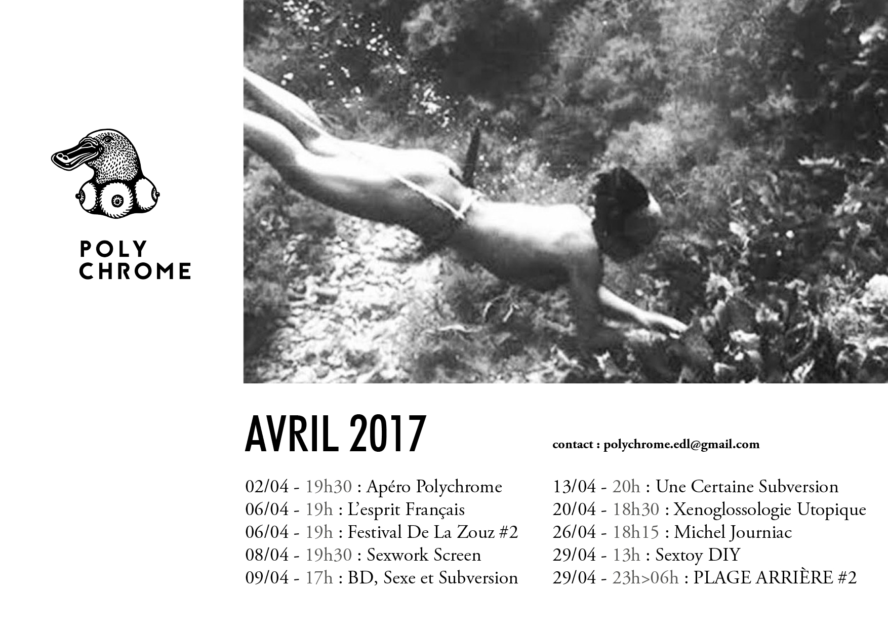 Visualiser la newsletter